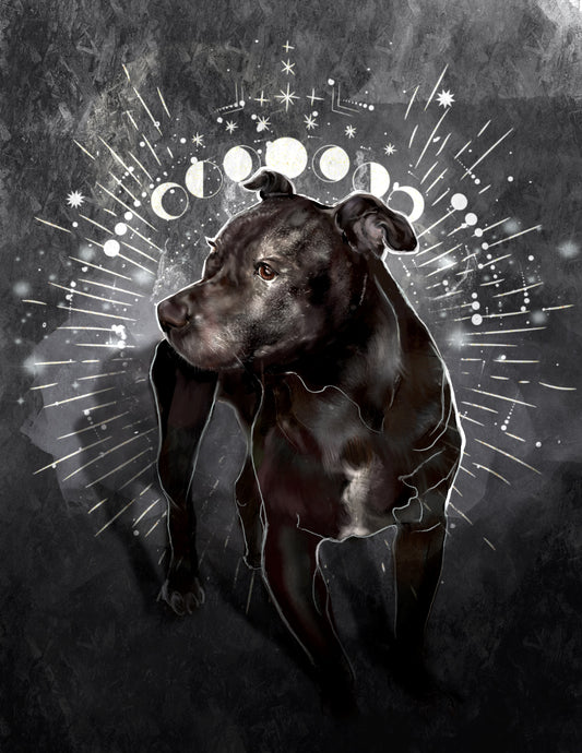 Digital Pet Portraits