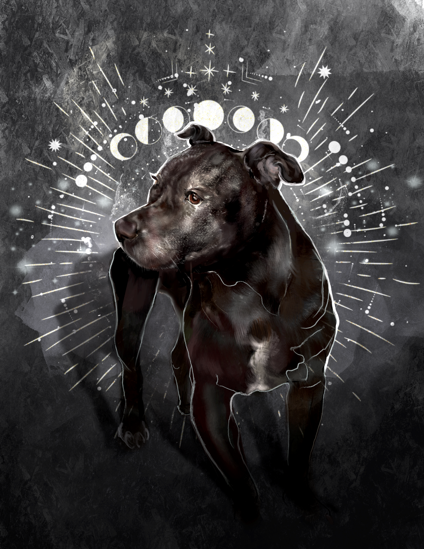 Digital Pet Portraits